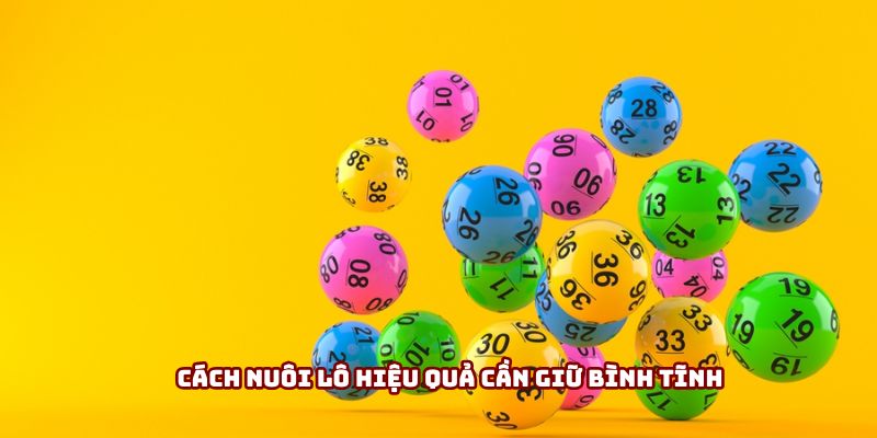 Cách nuôi lô hiệu quả cần giữ bình tĩnh